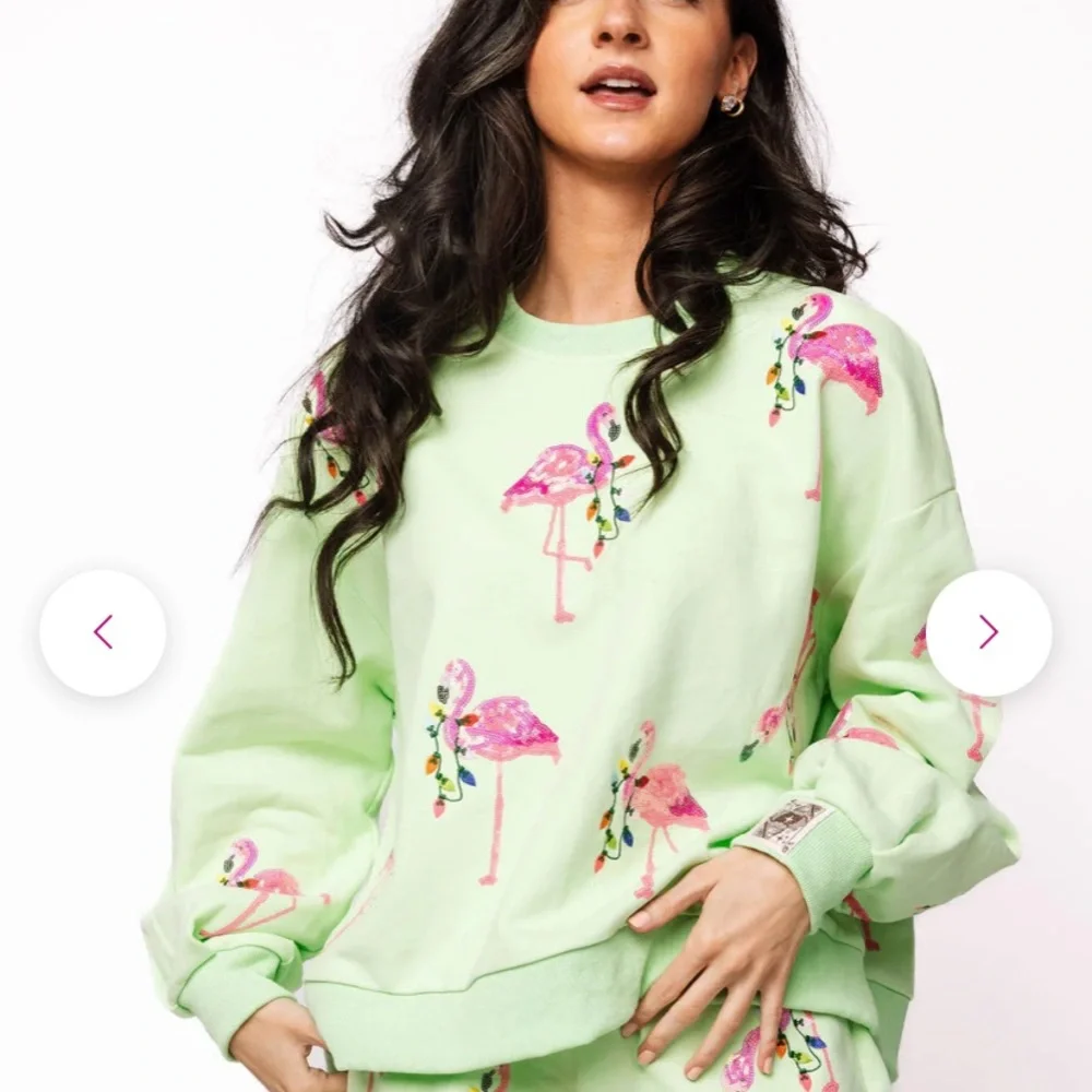ISO Queen of Sparkles * In Search of 🩷💚 Flamingo Print Green Sweatshirt - Picture 1 of 2